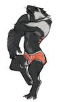  anthro boxer_briefs bulge clothing digital_media_(artwork) digitigrade looking_at_viewer male mammal mustelid nipples solo standing standing_on_one_foot underwear vcr_(artist) vpl whiskers wolverine 