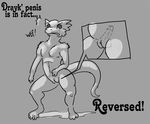  2014 anthro dialogue dragon drayk_dagger english_text grey_background herm internal intersex kalnareff looking_down monochrome nude penis pussy scales scalie simple_background solo spread_legs spreading text vein what 