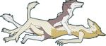  blue_eyes brown_fur claws ear_piercing female fur henka-chan knot lying male male/female missionary_position on_back penetration piercing prehensile_clitoral_hood sergal sex tan_fur 