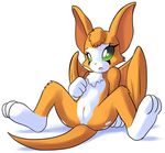  2015 anthro anus butt clitoris dust:_an_elysian_tail female fidget fur goshaag green_eyes long_ears mammal nimbat orange_fur presenting presenting_hindquarters presenting_pussy pussy simple_background sitting solo spread_legs spreading video_games white_background wings 