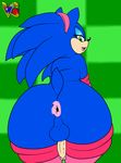  anthro anus backsack balls big_butt butt girly hedgehog male mammal solo sonic_(series) sonic_(sonic) thecon virtigogun 