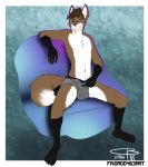  anatomy anthro bulge canine clothing dado463art drawing eyewear fox fur glasses hair invalid_color invalid_tag inviting male mammal marble pants paws sitting snout sofa underwear 