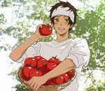  axis_powers_hetalia brown_hair green_eyes lowres short_hair spain_(hetalia) tomato 