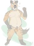  2018 anthro balls belly erection green_eyes greenbeanyeen humanoid_hands hyena male mammal moobs nipples overweight overweight_male penis simple_background solo 