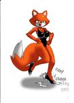  2015 anthro big_breasts breasts brutal:_paws_of_fury canine cleavage clothed clothing dreamcastzx female fox foxy_roxy mammal smile solo swimsuit 