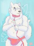  2018 anthro belly black_nose bulge canine clothing dog fur greenbeanyeen humanoid_hands male mammal moobs navel nipples overweight overweight_male simple_background solo underwear white_fur 