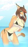  2015 beach bikini breasts brown_hair clothed clothing cougar feline green_eyes hair happy herm hybrid intersex linhthasack looking_at_viewer lynx mammal penis seaside skimpy smile solo swimsuit water 