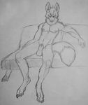  balls canine male mammal monochrome nipples rinnik sheath sketch sofa solo 