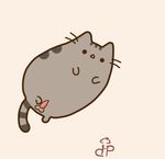  &lt;3 balls butt cat cute feline fluffy internet_cats invalid_background invalid_color mammal paws penis pusheen simple solo striped_tail 