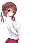  bad_id bad_pixiv_id blush breasts brown_eyes brown_hair ebina_nana henet_hene himouto!_umaru-chan large_breasts long_hair looking_at_viewer solo twintails wavy_mouth 