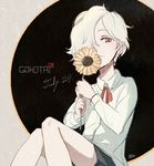  character_name dated dress_shirt flower fujimari gokotai hair_over_one_eye holding holding_flower long_sleeves male_focus orange_eyes pale_skin red_ribbon ribbon shirt shorts sitting solo sunflower touken_ranbu white_hair 