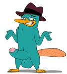  big_penis character_from_feature_animated_film dlirost male mammal monotreme penis platypus solo 