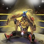  boots clothing duo feline finishing_move footwear lion male mammal spandex tiger trunorth wrestling 