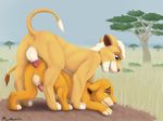  anal animal_genitalia balls blue_eyes cub cute disney duo erection feline feral fur lion male male/male mammal mushbun outside paws penis savanna sex simba the_lion_king tree white_fur yellow_fur young 