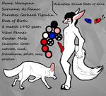  anthro canine fennec fox invalid_tag male mammal muscles narayana_al_fennec penis pheterhsun-fennec_1 referens solo 