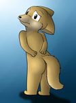  biscuit butt canine embarrassed fennec fox looking_at_viewer mammal nude shy solo wafflefox 