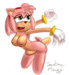  abdominal_bulge amy_rose breasts female penis sonic_(series) sourlimemango 