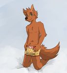  boxer_briefs brown_fur bulge canine clothing foxen fur male mammal underwear 