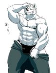  abs anthro biceps big_muscles bulge canine clothed clothing eye_patch eyewear fur half-dressed male mammal muscles nipples pecs tsukigata underwear white_fur 