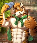  abs biceps big_muscles canyne_khai clothed clothing feline half-dressed male mammal muscles pecs red_eyes tiger 
