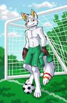  canine clothed clothing football fur goalkeeper goalkeeper_gloves grass half-dressed jersey looking_at_viewer male mammal orange_eyes orange_nose sky soccer soccer_ball solo sport standing stripes thekc topless volskar white_fur wolf 
