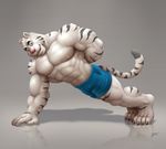  anthro braford feline male mammal muscles solo tiger white_tiger 