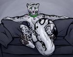  4_toes anthro biped collar digitigrade feline fur hair jingle_bell leopard looking_at_viewer mammal mars_(thequeenofmars) mortisreptus nude on_couch pawpads snow_leopard sofa solo spots spotted_fur toes whiskers 