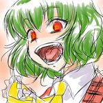  ascot crazy_eyes crazy_smile face green_hair kazami_yuuka laughing open_mouth plaid plaid_vest red_eyes short_hair sketch solo supon touhou vest 