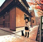 autumn cat kimura_(pixiv178485) original perspective road school_uniform serafuku shade solo vanishing_point 