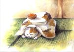  bowl cat closed_eyes food fruit kotatsu kuroda_asaki mandarin_orange marker_(medium) millipen_(medium) no_humans original pun sleeping table traditional_media 