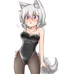  :o animal_ears bad_id bad_pixiv_id bare_shoulders black_legwear blush breasts commentary dress fang flying_sweatdrops hand_on_hip highres inubashiri_momiji katsumi5o large_breasts leotard nervous nose_blush open_mouth pantyhose playboy_bunny_leotard red_eyes short_hair silver_hair solo tail touhou wolf_ears wolf_tail 