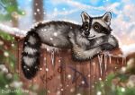  amber_eyes black_nose day digital_media_(artwork) feral flashw fur grey_fur lying mammal outside paws procyonid raccoon snow snowing solo whiskers 