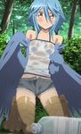  blue_hair blush harpy highres monster_girl monster_musume_no_iru_nichijou papi_(monster_musume) shorts small_breasts solo stitched wet wings yellow_eyes 