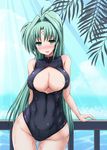  breasts cleavage facial_mark forehead_mark front_zipper_swimsuit green_eyes green_hair large_breasts lindy_harlaown long_hair lyrical_nanoha mahou_shoujo_lyrical_nanoha mature meme_attire one-piece_swimsuit shiwo solo swimsuit wet 