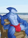  beach blue_skin clothing fish fleks male marine muscles saruuk seaside shark tagme underwear 