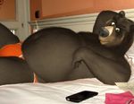  bear bed belly big_belly bulge chubby clothing dreamworks edit male mammal over_the_hedge oystercatcher7 photo_manipulation photomorph underwear vincent_(over_the_hedge) 
