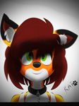  collar cute foxy furry_oc invalid_tag smile 