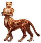  ambiguous_gender cheetah feline looking_at_viewer mammal ononheli simple_background taur white_background 