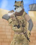  camo canine chancebandit cigarette clothing desert folf fox gun hat hybrid male mammal military outside ranged_weapon rifle smoking solo standing tactical weapon wolf 