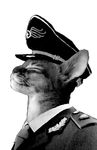  cat eyes_closed feline mammal military necktie peaked_cap portrait simple_background solo uniform white_background 