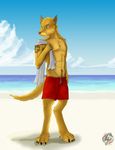  2015 absurd_res anthro beach body_hair canine claws clothing digitigrade dingo dusty green_eyes happy_trail hi_res klynolder male mammal muscles pinup pose seaside shorts solo swimming_trunks swimsuit tattoo towel 
