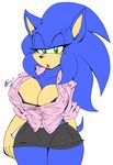  2015 akatsukishiranui-fox anthro big_breasts breasts cleavage clothed clothing crossgender female hedgehog mammal sonic_(series) sonic_the_hedgehog 