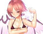  animal_ears ayagi_daifuku bird_wings blush bra breast_rest breasts looking_at_viewer mystia_lorelei naughty_face no_hat no_headwear pink_eyes pink_hair short_hair simple_background small_breasts smile solo suggestive_fluid touhou underwear upper_body white_background wings 