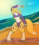  2015 beach bikini bulge chest_tuft claws clothing dickgirl digimon digitigrade fur intersex licking licking_lips pinup popsicle pose renamon seaside sharkliver solo swimsuit tongue tongue_out tuft water 