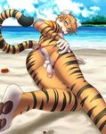  2015 absurd_res anthro anus ark_warrior balls beach butt clothed clothing erection feline fur hair half-dressed hi_res looking_at_viewer looking_back male mammal nipples nude open_mouth outside penis presenting presenting_hindquarters seaside smile solo stripes teeth thong tiger tongue tongue_out topless underwear 