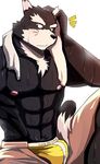  abs anthro bearlovestiger13 biceps big_muscles black_fur canine chest_tuft clothing dog fur male mammal muscles nipples pecs tuft underwear 