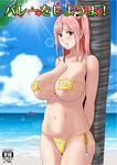  1girl areola_slip areolae arms_behind_back bare_shoulders beach bikini blush breasts dashigara_100 dead_or_alive dead_or_alive_5 dolphin erect_nipples female honoka_(doa) huge_breasts large_breasts long_hair looking_at_viewer navel ocean parted_lips pink_hair ponytail sky solo standing swimsuit 