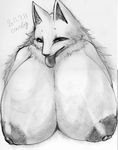 big_breasts breasts canine cocolog female hair kemono long_hair mammal nipples tongue wolf 
