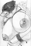  big_breasts breasts canine cocolog hair kemono long_hair mammal nipples wolf 