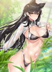  alternate_costume animal_ears ass atago_(azur_lane) azur_lane bangs bikini black_bikini black_hair blurry breasts cleavage collarbone commentary depth_of_field english_commentary ero_waifu eyebrows_visible_through_hair from_side greenhouse hair_between_eyes hair_ribbon long_hair looking_at_viewer mole mole_under_eye navel parted_lips pink_lips plant race_queen rainbow revision ribbon shiny shiny_skin shrug_(clothing) solo stomach strap_pull swimsuit thighs toned water_drop wet wet_clothes wolf_ears wrist_cuffs yellow_eyes 